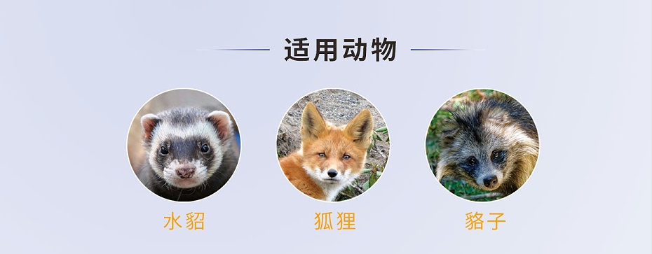 貂、狐、貉等毛皮動物腦膜炎、心內膜炎的防治用藥廠家批發(fā)-青島康地恩