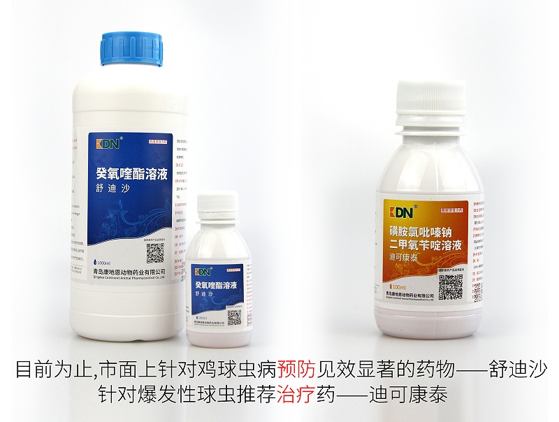雞球蟲病預(yù)防推薦用藥——舒迪沙。爆發(fā)性球蟲治療藥——迪可康泰。