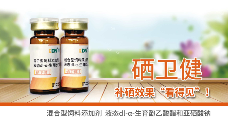 快大型肉禽早期缺硒性癱瘓?jiān)趺崔k？【康地恩養(yǎng)殖】