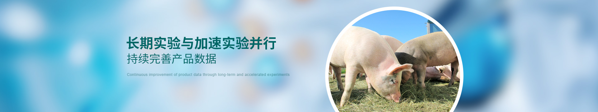 康地恩，長(zhǎng)期實(shí)驗(yàn)與加速實(shí)驗(yàn)并行