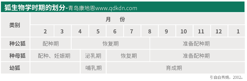 狐貍生物學(xué)時期怎么劃分？【康地恩毛皮養(yǎng)殖】
