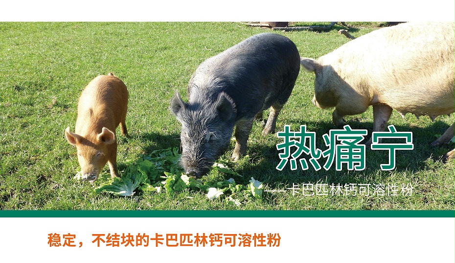 卡巴匹林鈣，解熱鎮(zhèn)痛