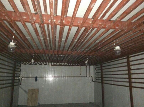 1666666102408543.jpg a6dfa802b2628c83d414975d94e632b9_173054695912.jpg