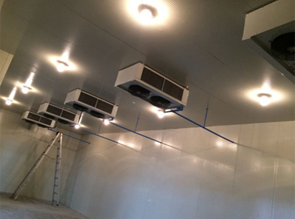 1666856474537989.jpg 5e919173806e099d5680697d0ea7c1d1_172827174919.jpg